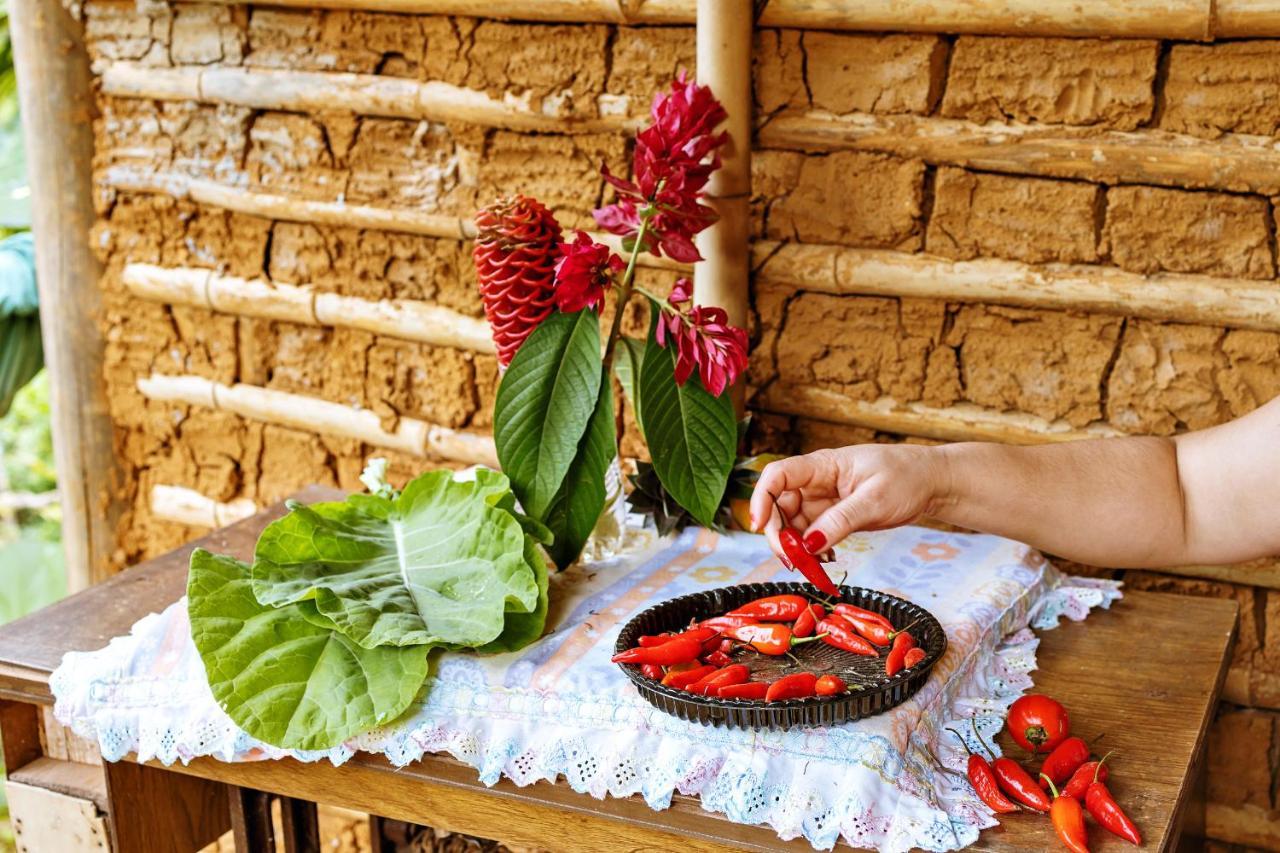 Chales Sol Parati Extérieur photo